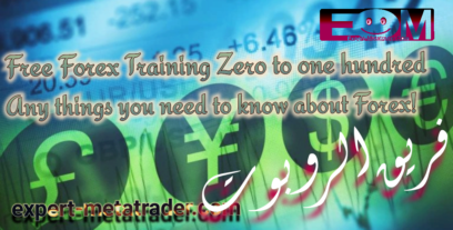 Free Forex Training Zero to one hundred things you need to know about Forex!