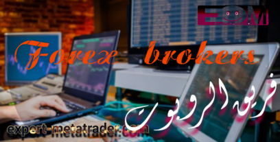 Forex brokers