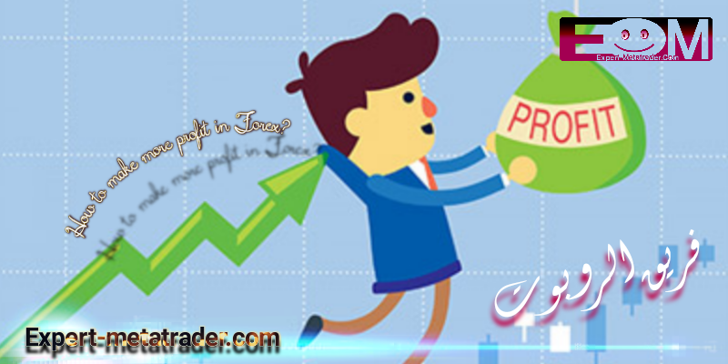 How to make more profit in Forex?