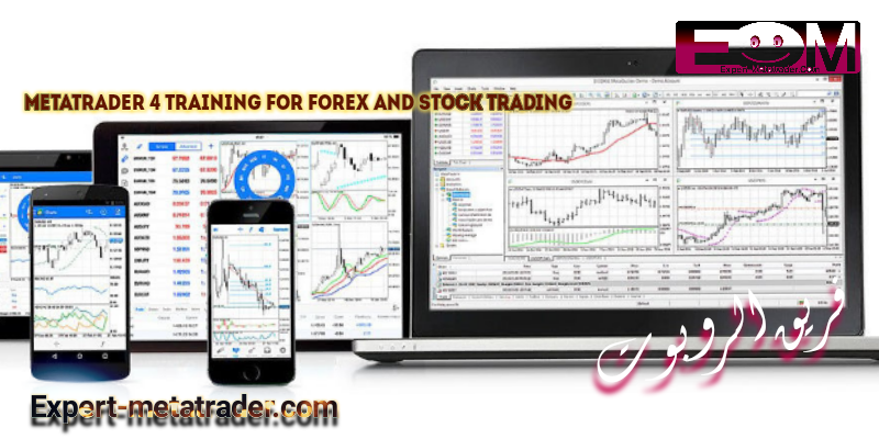 MetaTrader 4 training for Forex and stock trading