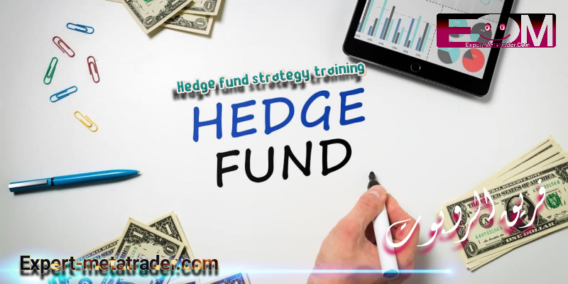 Hedge fund strategy training