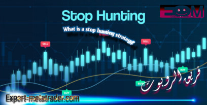 What is the stop hunting strategy?