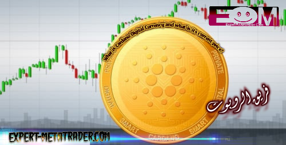 What is Cardano Crypto Currency and what is its current price?