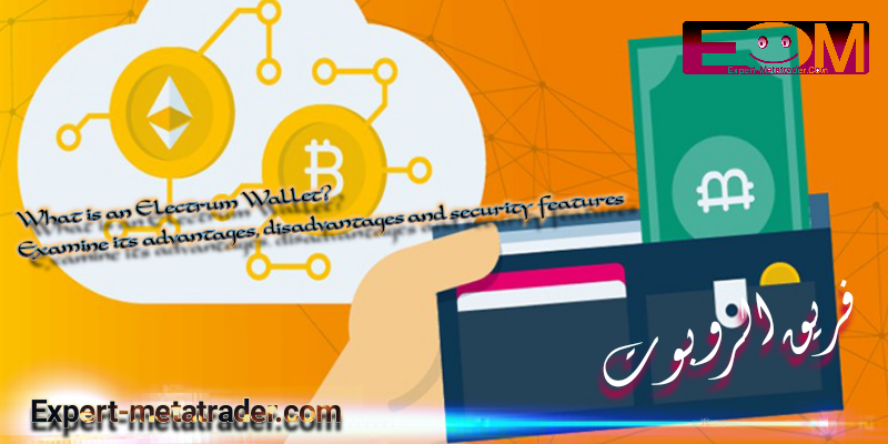 What is an Electrom Wallet? Examine its advantages, disadvantages and security features