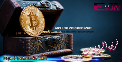 What is the safest bitcoin wallet?