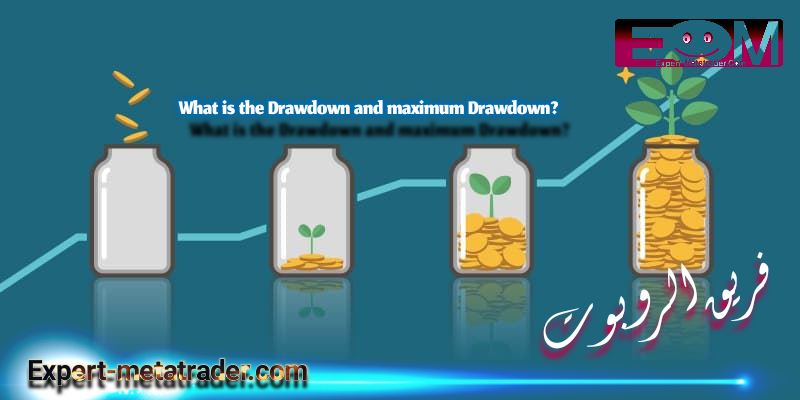 What is the DrawDown and maximum DrawDown?