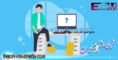 ما هي الأسباب الرئيسية لفشل الشركات الناشئة وتصفيتها؟