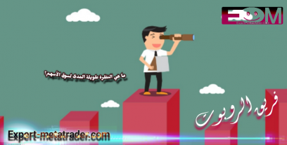 ما هي النظرة طويلة المدى لسوق الأسهم؟