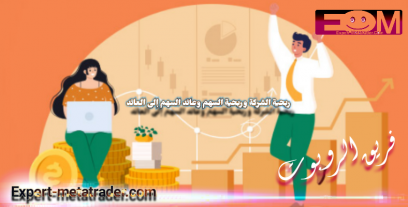 ربحية الشركة وربحية السهم وعائد السهم إلى العائد