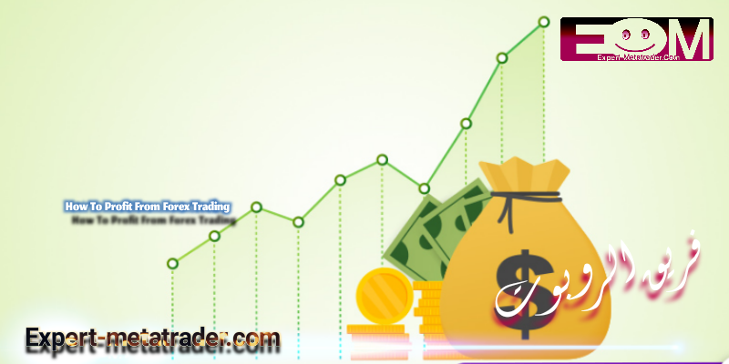 How To Profit From Forex Trading