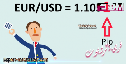 What is Pip in Forex?