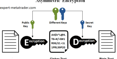 Asymmetric Key Algorithm