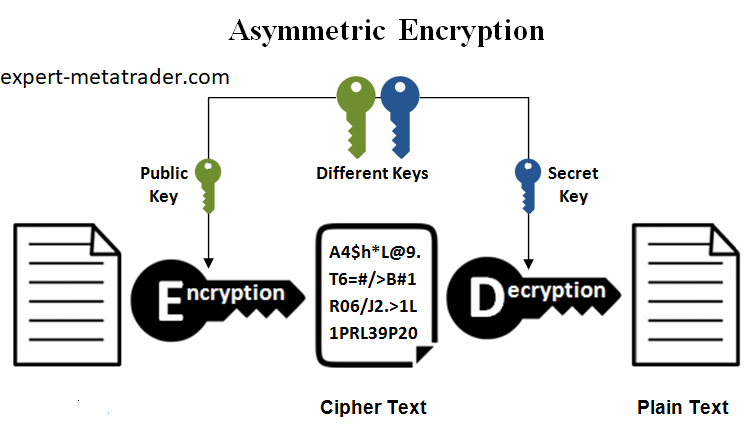 Asymmetric Key Algorithm