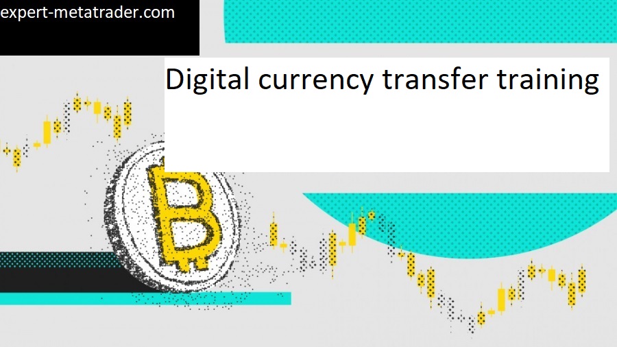 Digital currency transfer training
