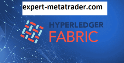 What is Hyper Ledger Fabric?