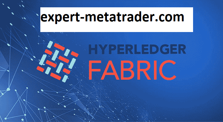 What is Hyper Ledger Fabric?