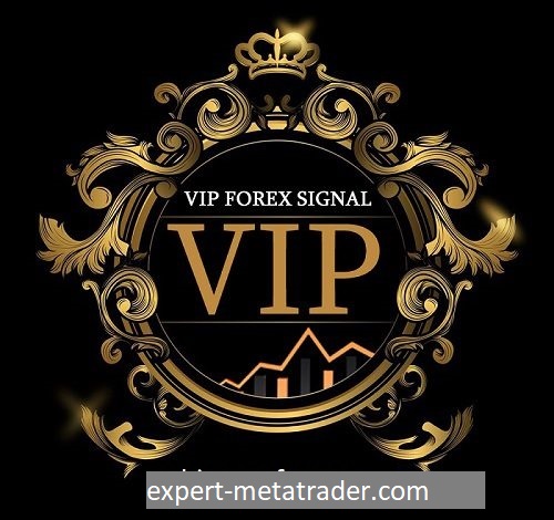 Forex vip signal channel