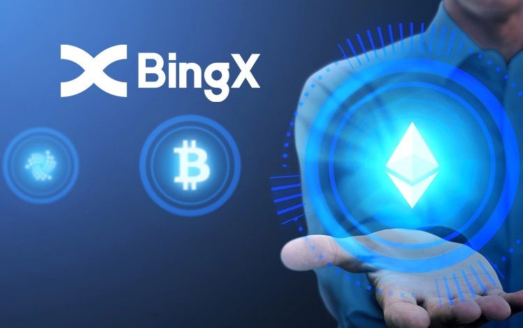 ما هو BingX Exchange؟ التعرف على بورصة BingX