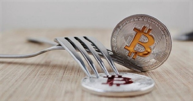 Fork in digital currency What are hard forks and soft forks?