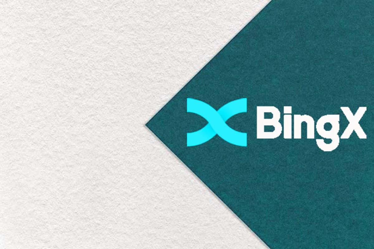 BingX değişim eğitimi Bingx değişimi ile nasıl çalışılır