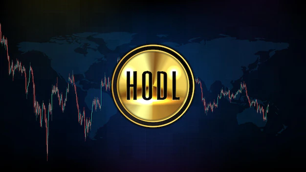 What is digital currency holding? What is Hodel?