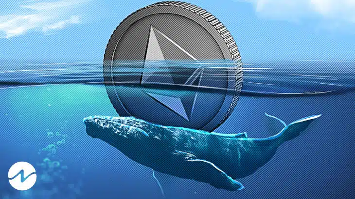 Whale Activity Surges Amid Ethereum Price Increase