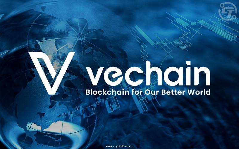 VeChain and BCG Partner to Drive Sustainability Through Blockchain Technology