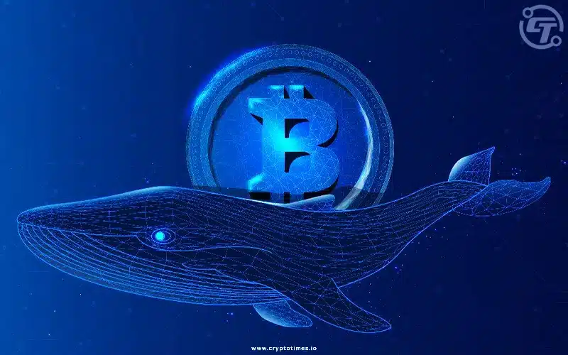 Mysterious Bitcoin Whale Accumulates Over $3 Billion