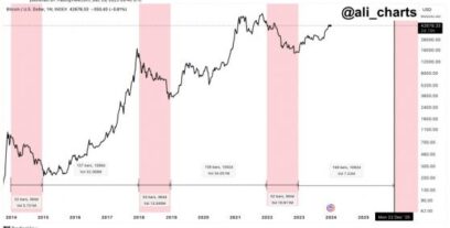 سر تاريخي يكشف أن رالي البيتكوين القادم سيستمر حتى ديسمبر 2025